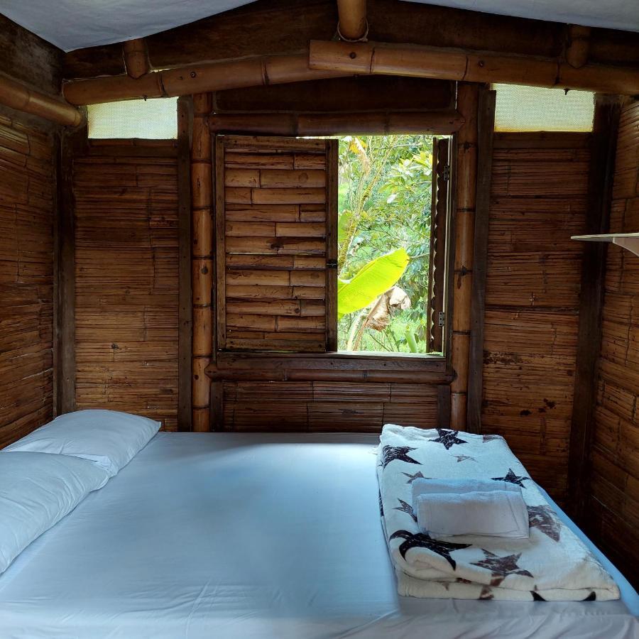 Hostal La Pijarana Salento Eksteriør bilde