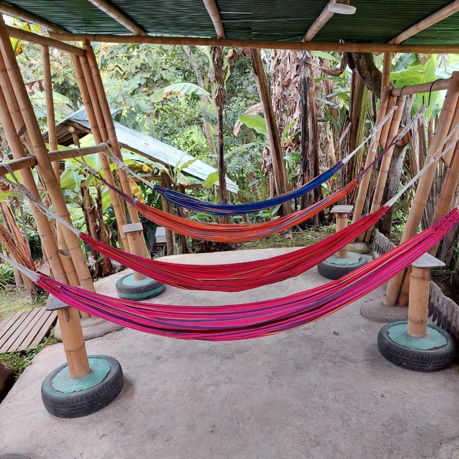Hostal La Pijarana Salento Eksteriør bilde