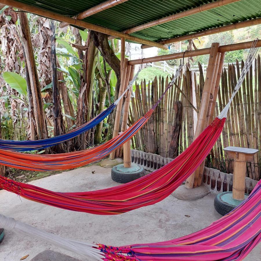 Hostal La Pijarana Salento Eksteriør bilde
