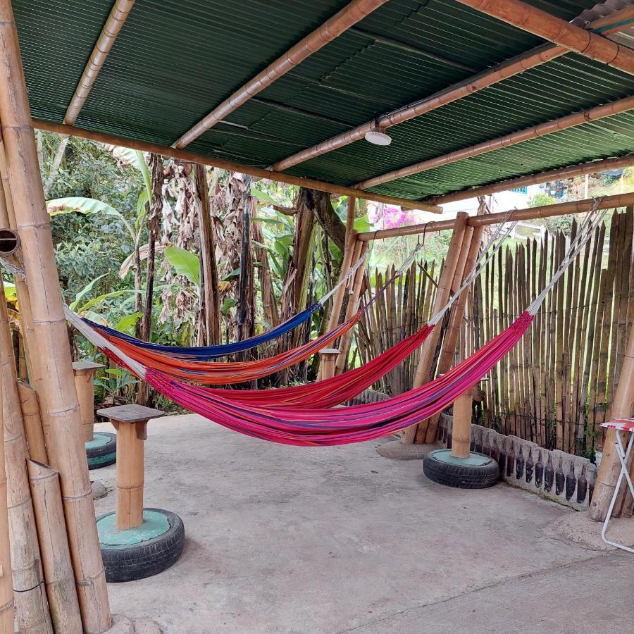 Hostal La Pijarana Salento Eksteriør bilde