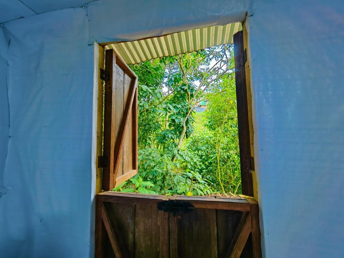 Hostal La Pijarana Salento Eksteriør bilde