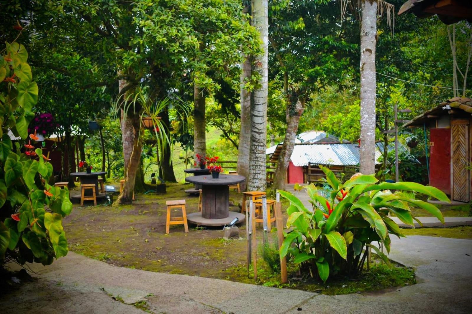 Hostal La Pijarana Salento Eksteriør bilde
