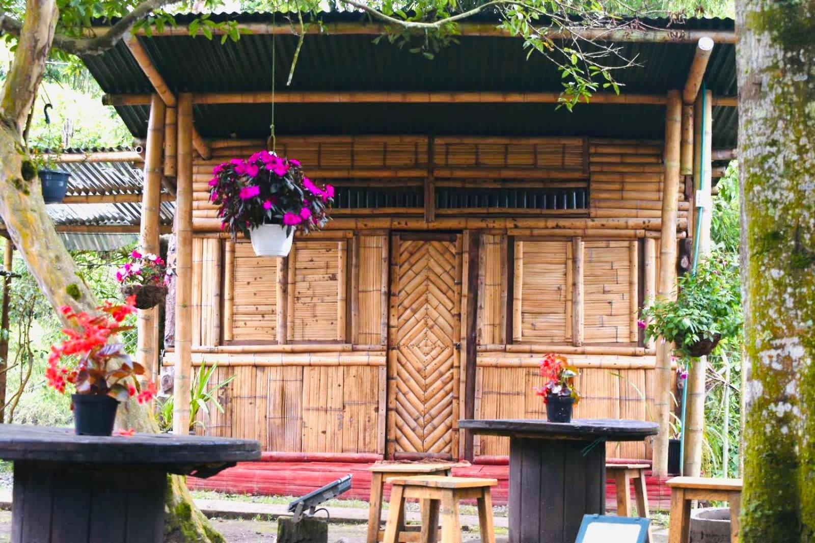Hostal La Pijarana Salento Eksteriør bilde